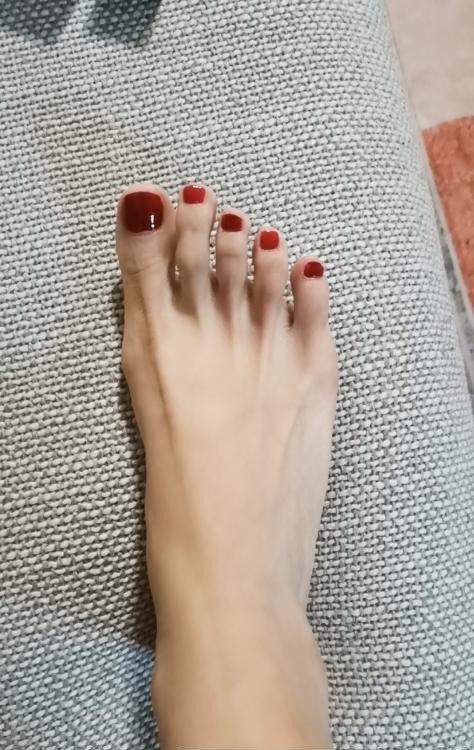 普陀美腿莫妮卡