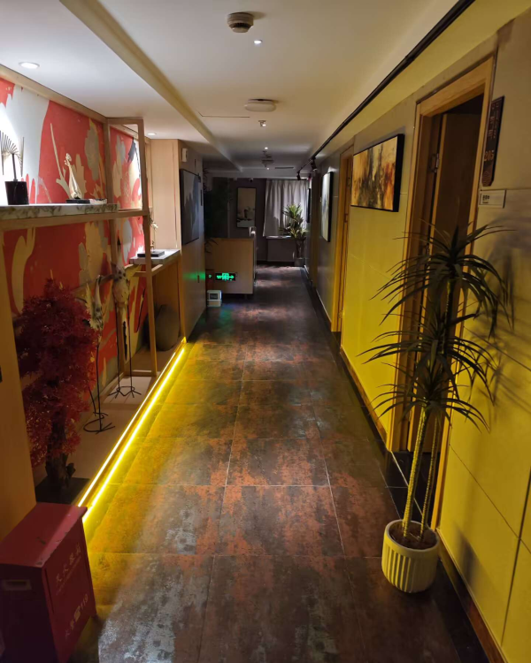 虹口超大高端T台海选