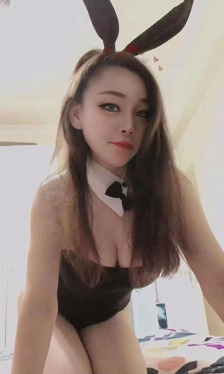 宝安大白奶小肥猫