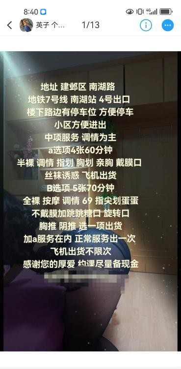 南湖中项英子