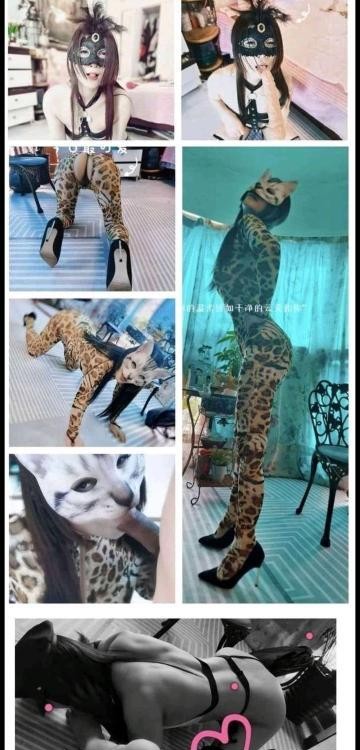 重庆猫老师