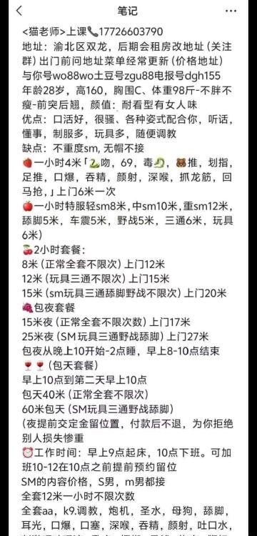 重庆猫老师