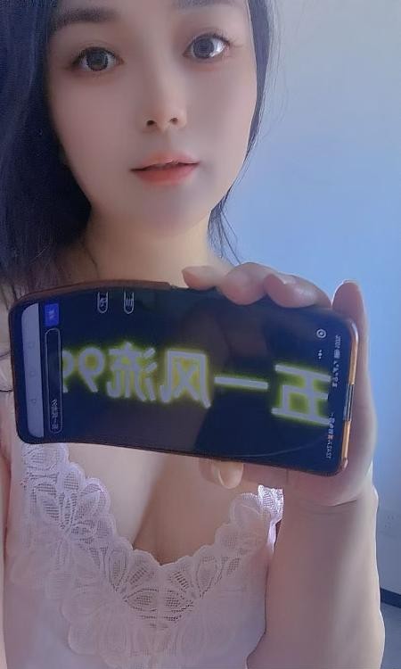 服务型盼盼
