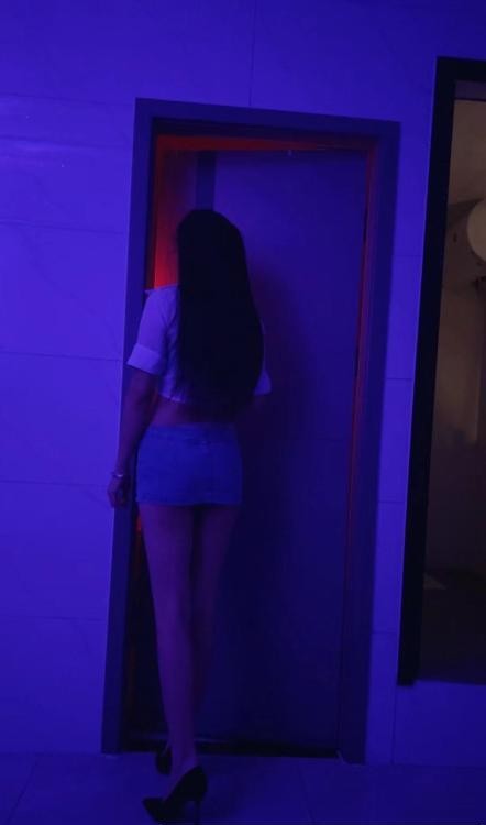 梅花园依依