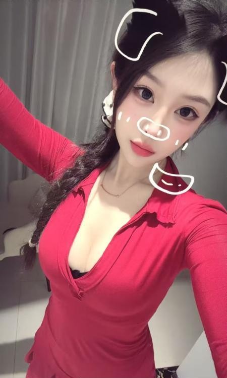 包河兔兔