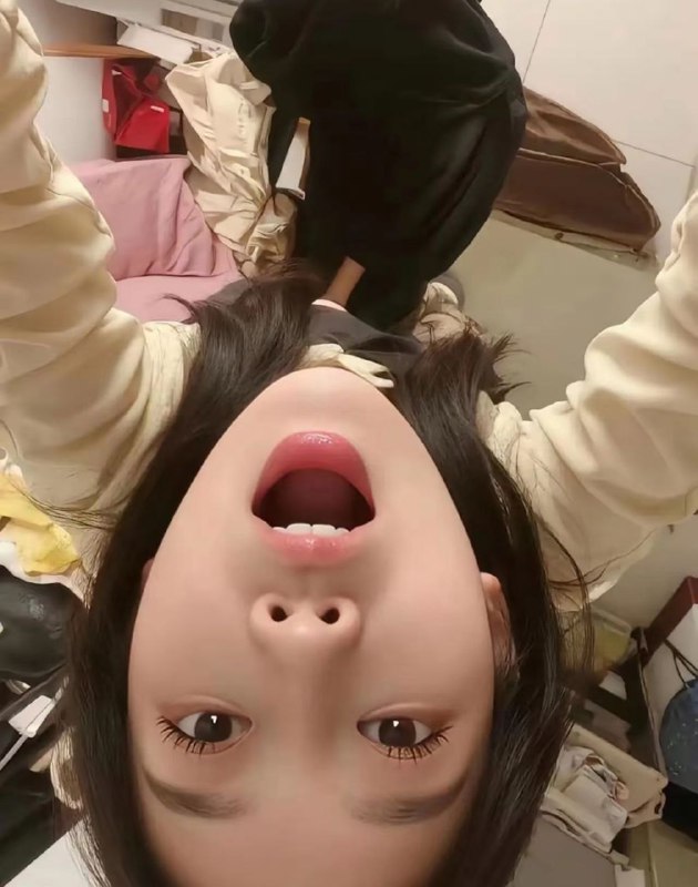 新茶