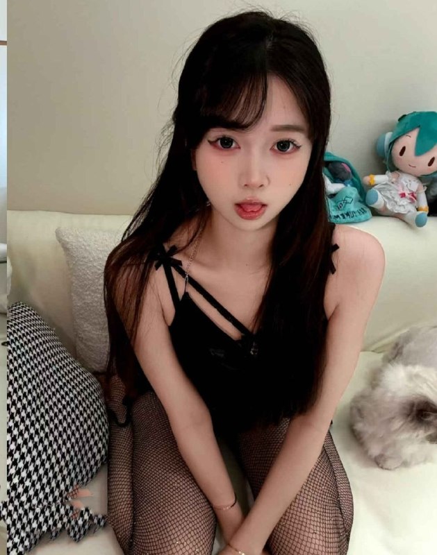 新品