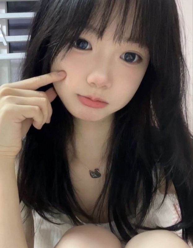 新品